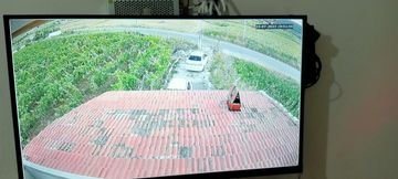 Tarla ve ev çevresinin güvenlik kamerası kayıt ekranındaki görünümü