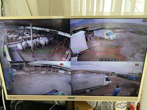 Ahır, çiftlik avlusu ve giriş alanlarını gösteren dört kameralı canlı izleme ekranı