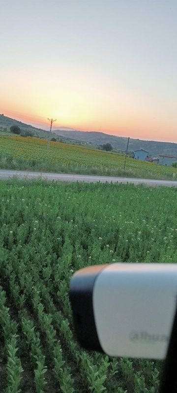 Ekili tarla ve yol görüşüne ayarlanmış güvenlik kamerası