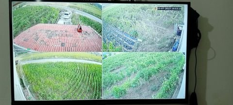 Dört farklı alanı aynı ekranda gösteren uzaktan kamera izleme sistemi
