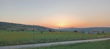 Güvenlik kamerasının kapsadığı tarla, yol ve bahçe alanının geniş görünümü