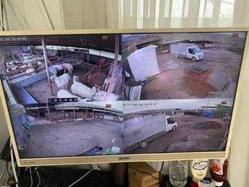 Ahır, çiftlik avlusu ve araç alanını gündüz gösteren dört kamera ekranı